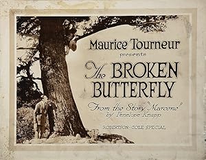 The Broken Butterfly