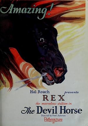 Rex the Devil Horse