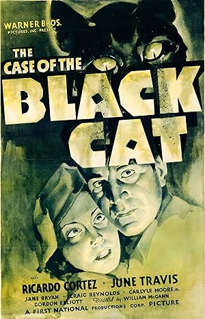 The Case of the Black Cat