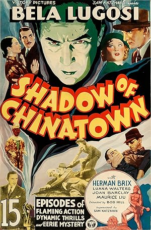 Shadow of Chinatown