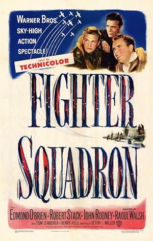 Fighter Squadron