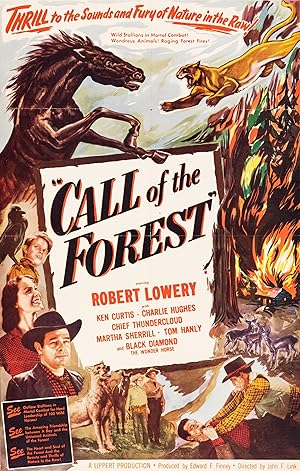 Call of the Forest