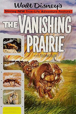 The Vanishing Prairie