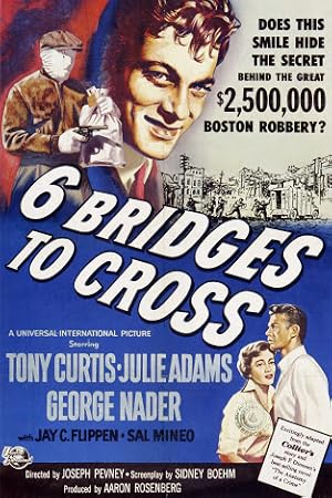 6 Bridges to Cross