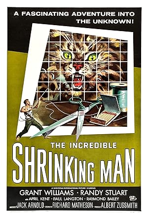 The Incredible Shrinking Man