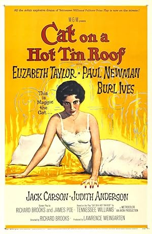 Cat on a Hot Tin Roof