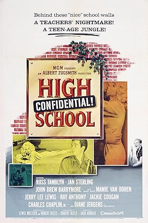 High School Confidential!