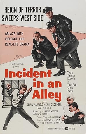 Incident in an Alley