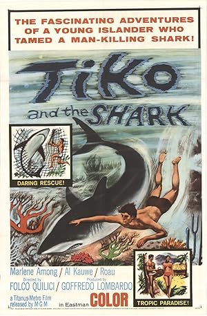 Tiko and the Shark