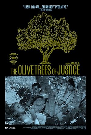 The Olive Trees of Justice