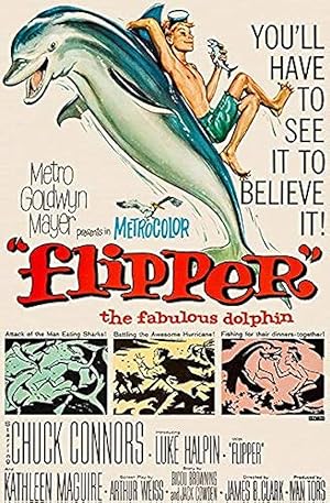 Flipper