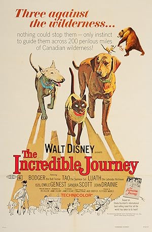 The Incredible Journey