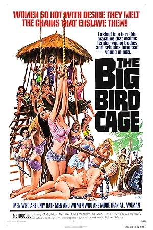 The Big Bird Cage