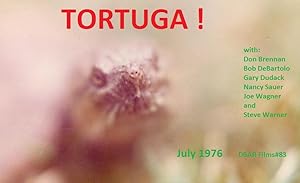 Tortuga!