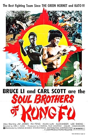 Soul Brothers of Kung Fu