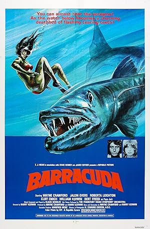 Barracuda