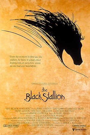 The Black Stallion