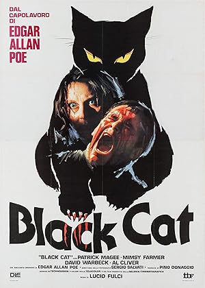 The Black Cat