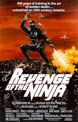 Revenge of the Ninja