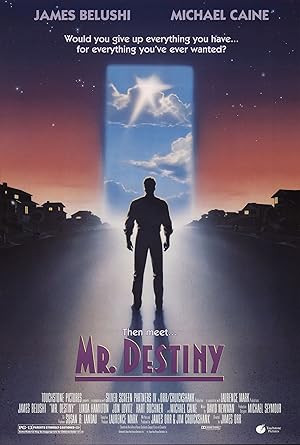 Mr. Destiny