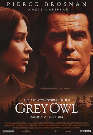 Grey Owl