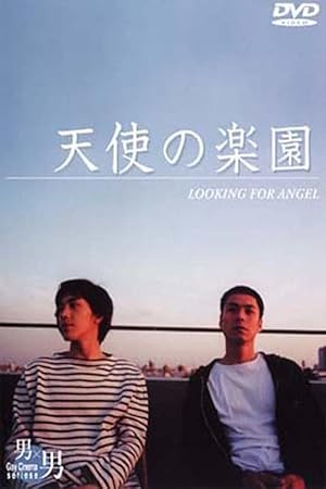 Looking for an Angel