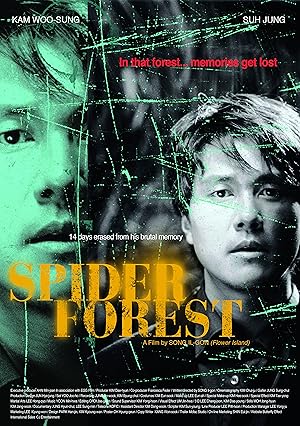 Spider Forest