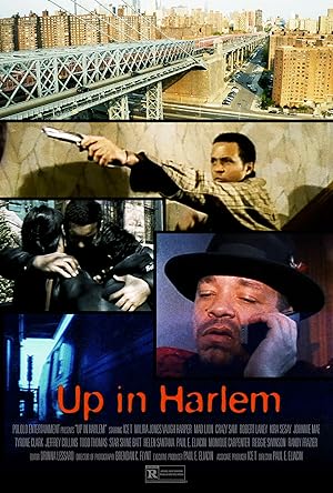 Up in Harlem