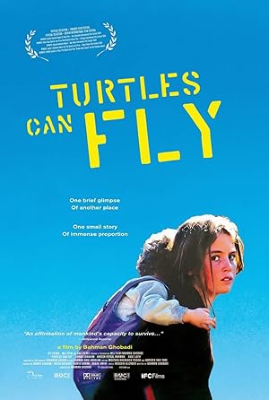 Turtles Can Fly