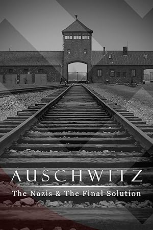 Auschwitz: The Nazis and the Final Solution