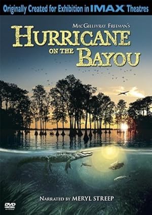 Hurricane on the Bayou