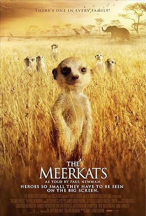 The Meerkats