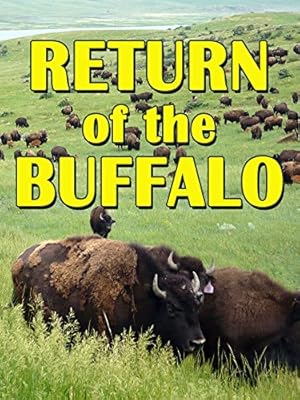 The Return of the Buffalo: Restoring the Great American Prairie