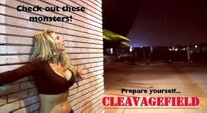 Cleavagefield