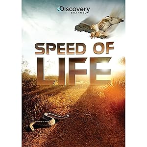 Speed of Life