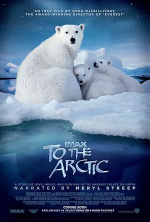 To the Arctic 3D