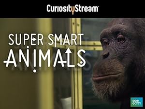 Super Smart Animals