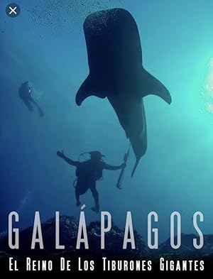 Galapagos Realm Of Giant Sharks