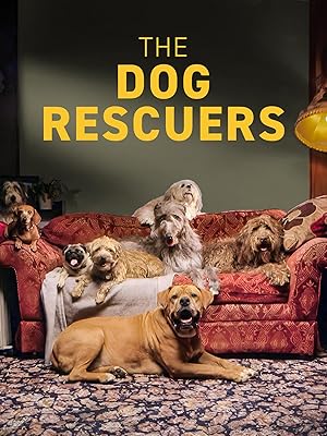 The Dog Rescuers with Alan Davies