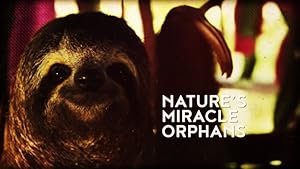 Nature's Miracle Orphans