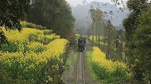 China's Last Little Train