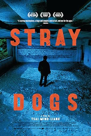 Stray Dogs