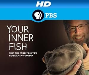 Your Inner Fish