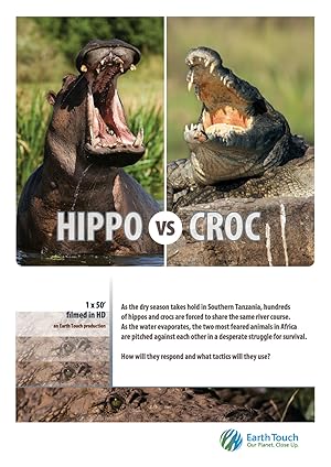 Hippo vs Croc