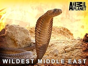 Wildest Middle East