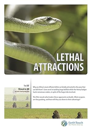 Lethal Attractions