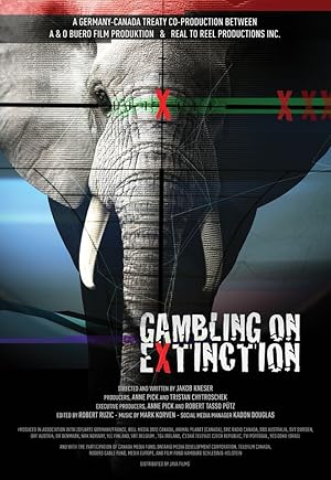 Gambling on Extinction