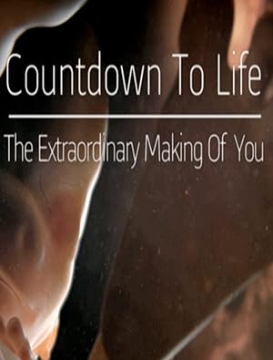 Countdown to Life: The Extraordinary Making of You