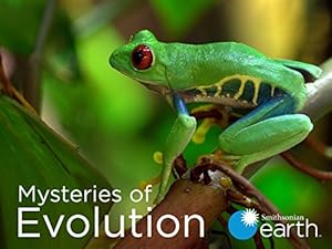 Mysteries of Evolution