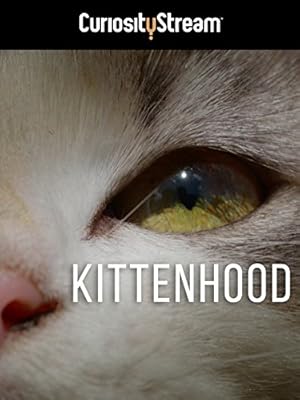 Kittenhood